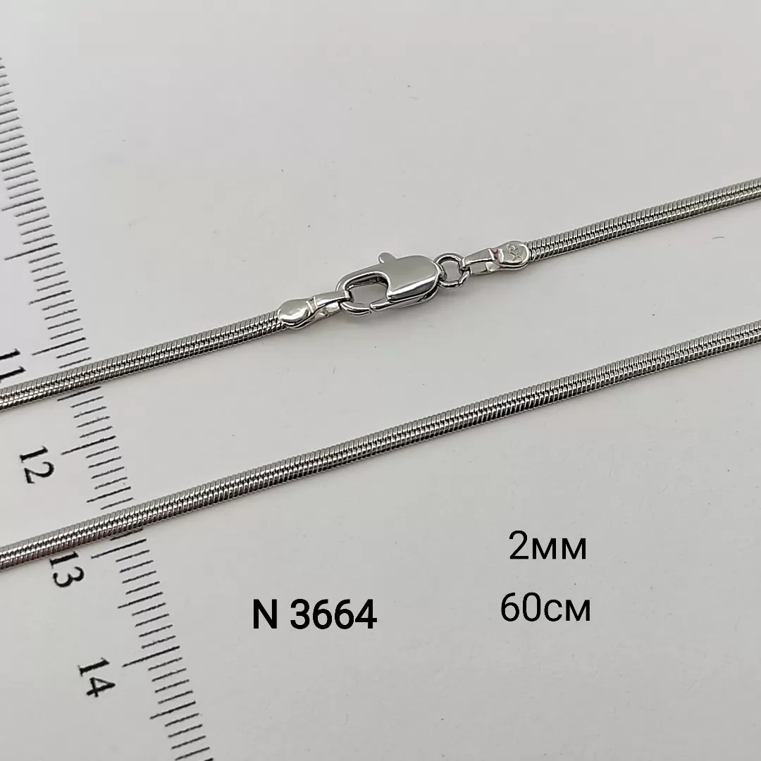 N 3664
